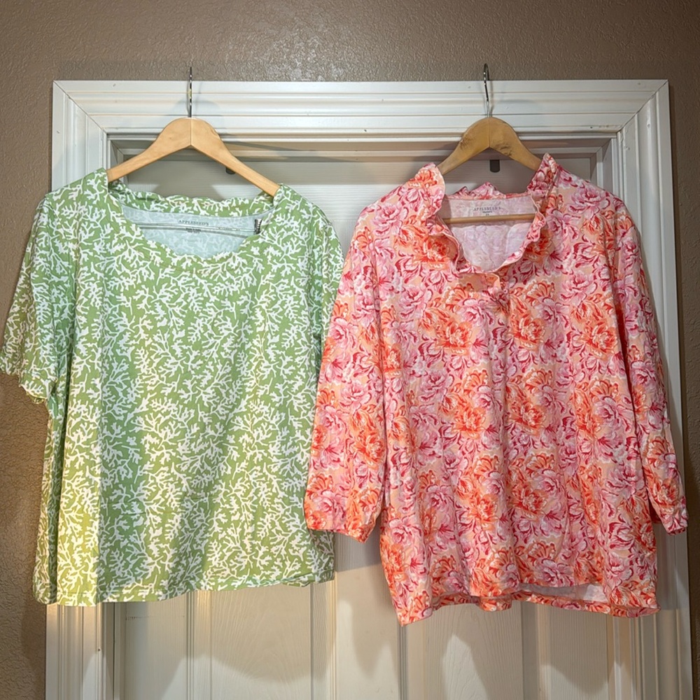 Two great shirts from Appleseed’s 2X